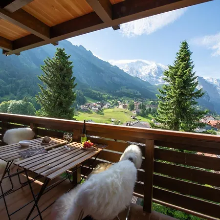 Rubi Wengen